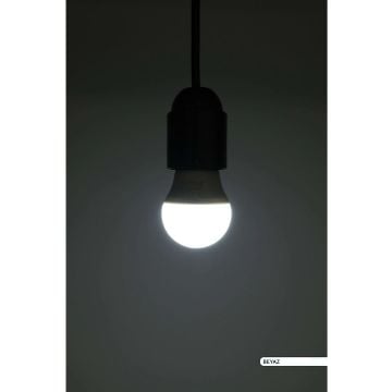 ACK AA11-00513 5 Watt LED P45 Top Ampul - Beyaz Işık (6500K)