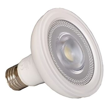 15 Watt PAR30 LED Ampul