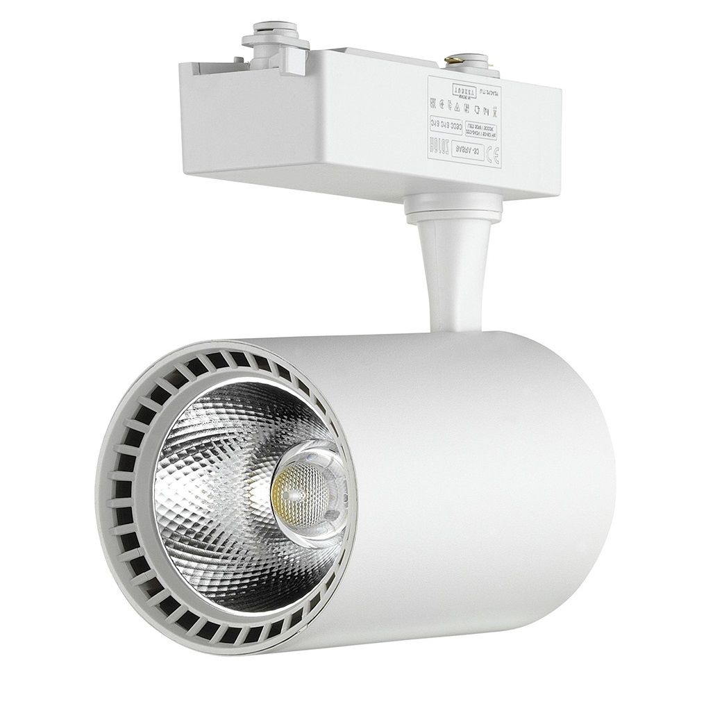 HOROZ 018-028-0030 BASRA Beyaz Kasa 30 Watt LED Ray Spot