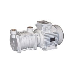 TSL 24/25 Transfer Pompası Ø25mm 220V/0.4kw