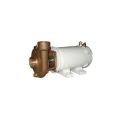 CCM C22B Deniz Suyu Pompası Ø25mm 220V/0,55kw