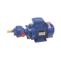 GR10 Transfer Pompası Ø19mm 24V/0.37kw