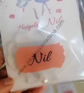 Şeffaf istiridye magnet