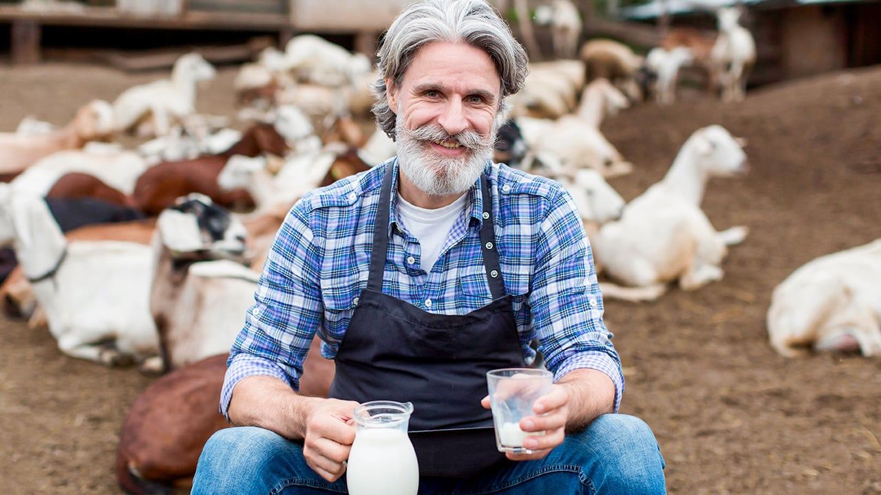 Hayvan Sağlığı ve Verimlilik: Süt Sağım Ekipmanları