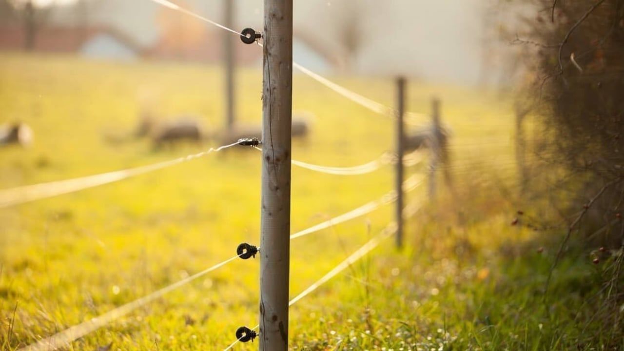 Elektrikli Çit Nedir?