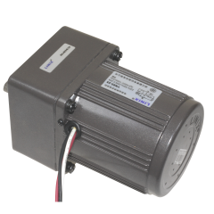 YN80-25 220V 250RPM AC Motor