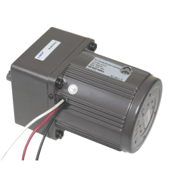 YN80-220-25 220V 125RPM AC Motor