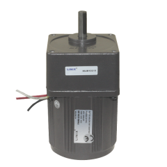 YN80-220-25 220V 125RPM AC Motor