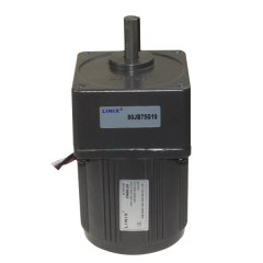 YN80-25 220V 17RPM AC Motor