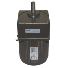 YN80-220-25 220V 87RPM AC Motor