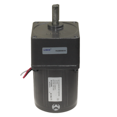 YN70-15 220V 25RPM AC Motor