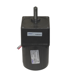 YN70-15 220V 17RPM AC Motor