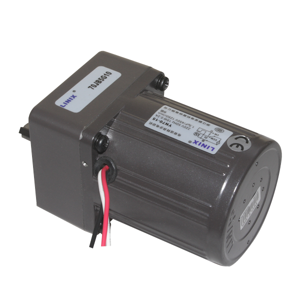 YN70-15  220V 250 RPM AC Motor