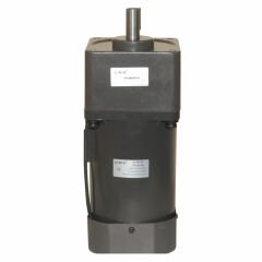 YN100-180 220V 17RPM AC Motor