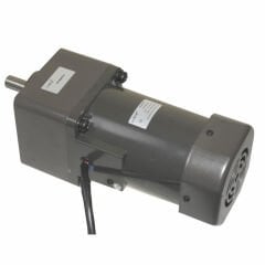 YN100-180 220V 36RPM AC Motor