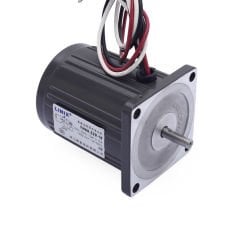 YN60-220-10 220V 1250RPM AC Motor