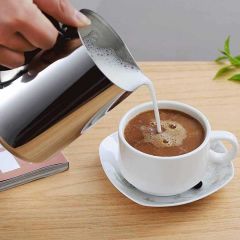 Omnisoft EPX SP-500 Paslanmaz Çelik Kahve Süt Potu 500ml