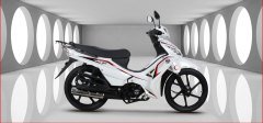 Kuba Motor Ege 50 CC