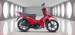 Kuba Motor Ege 50 CC