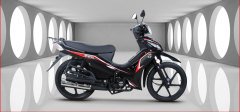 Kuba Motor Ege 50 CC