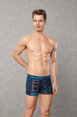 Doranse 1876 Scottish Boxer