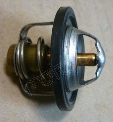 SYM TERMOSTAD KOMPLE MAX600