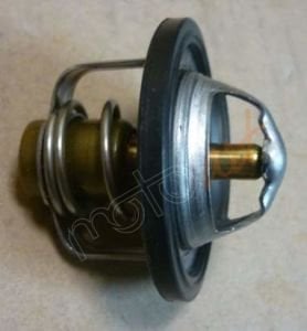 SYM TERMOSTAD KOMPLE MAX600