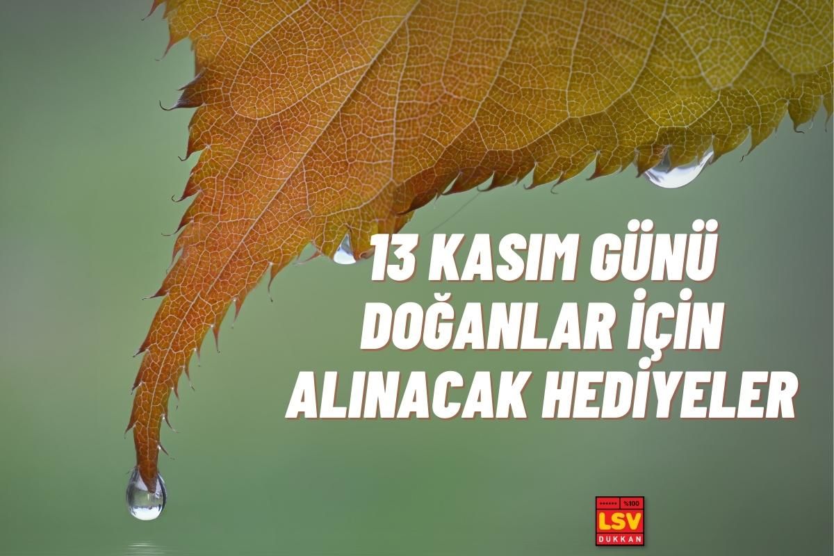 13 Kasım Günü Doğanlara Ne Hediye Alınır ?