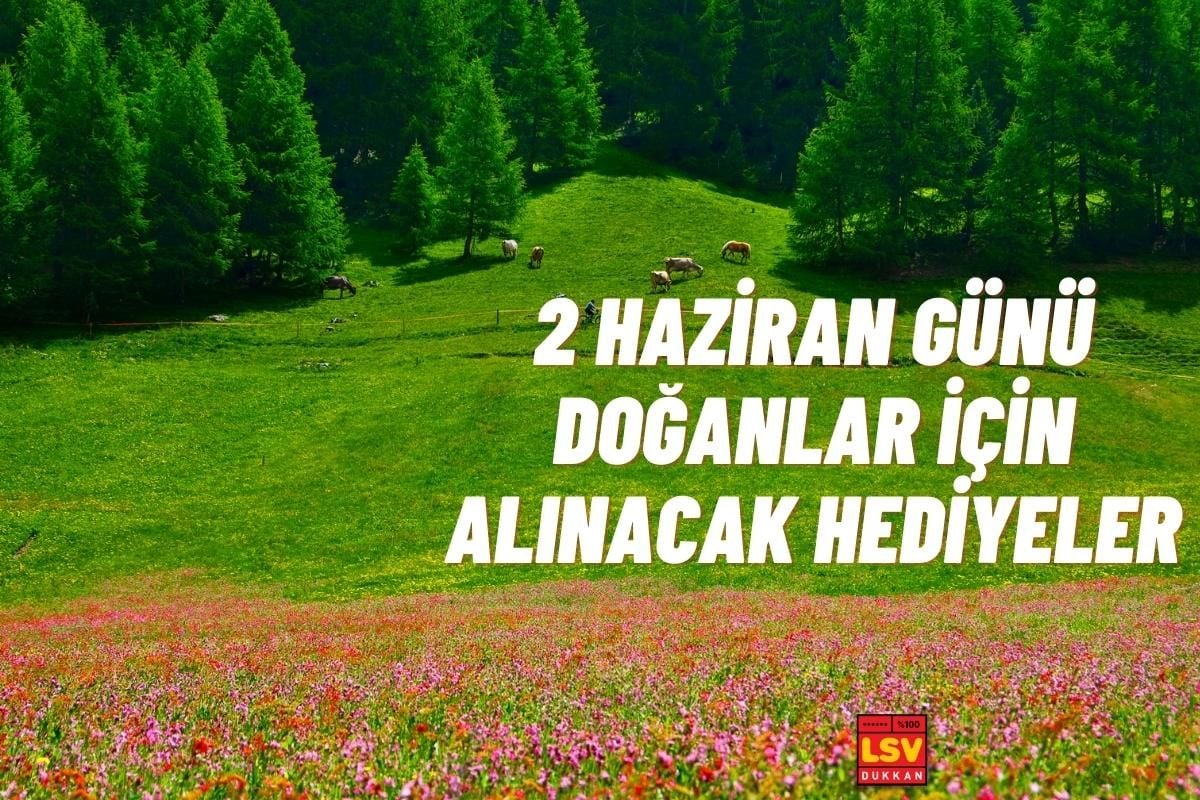 2 Haziran Günü Doğanlara Ne Hediye Alınır ?