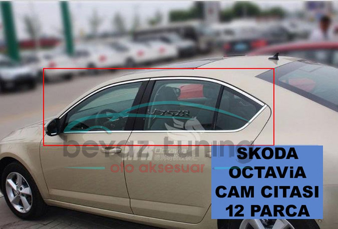 Skoda Octavia Cam Çıtası Komple Kromu Nikelajı 2013-