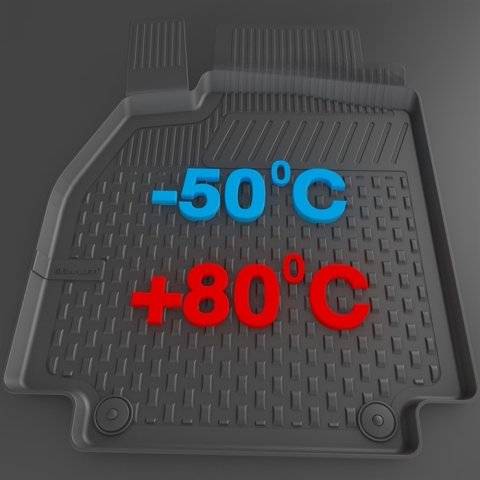 Citroen C-Elysee Havuzlu Paspas 4,5D Sahler