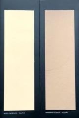 DECORATİVİ MİNERALİ Renk Kartelası (180+ Renk)