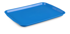 Plastport  Servis Tepsisi 32x44 cm - Mavi