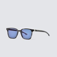 PAPARY P209 N20 50