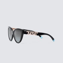 TIFFANY&CO TF 4196 8001/3C