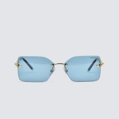 TIFFANY&CO TF 3088 6176/80