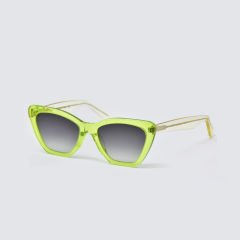 PAPARY P204 COL890/95