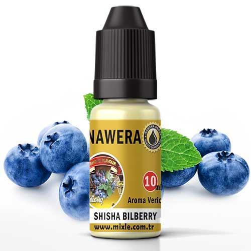 SHISHA BILBERRY