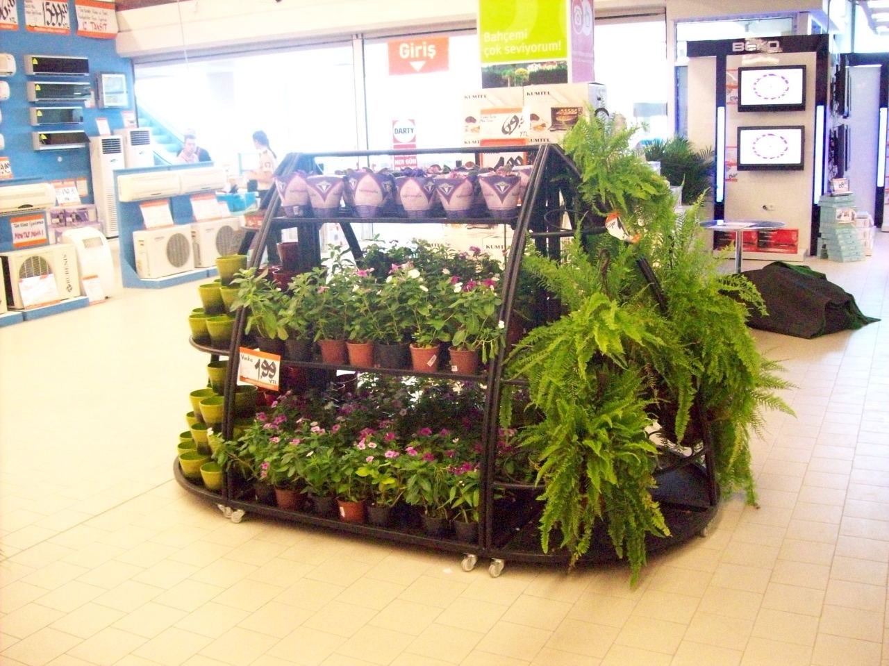 çiçek Standları
