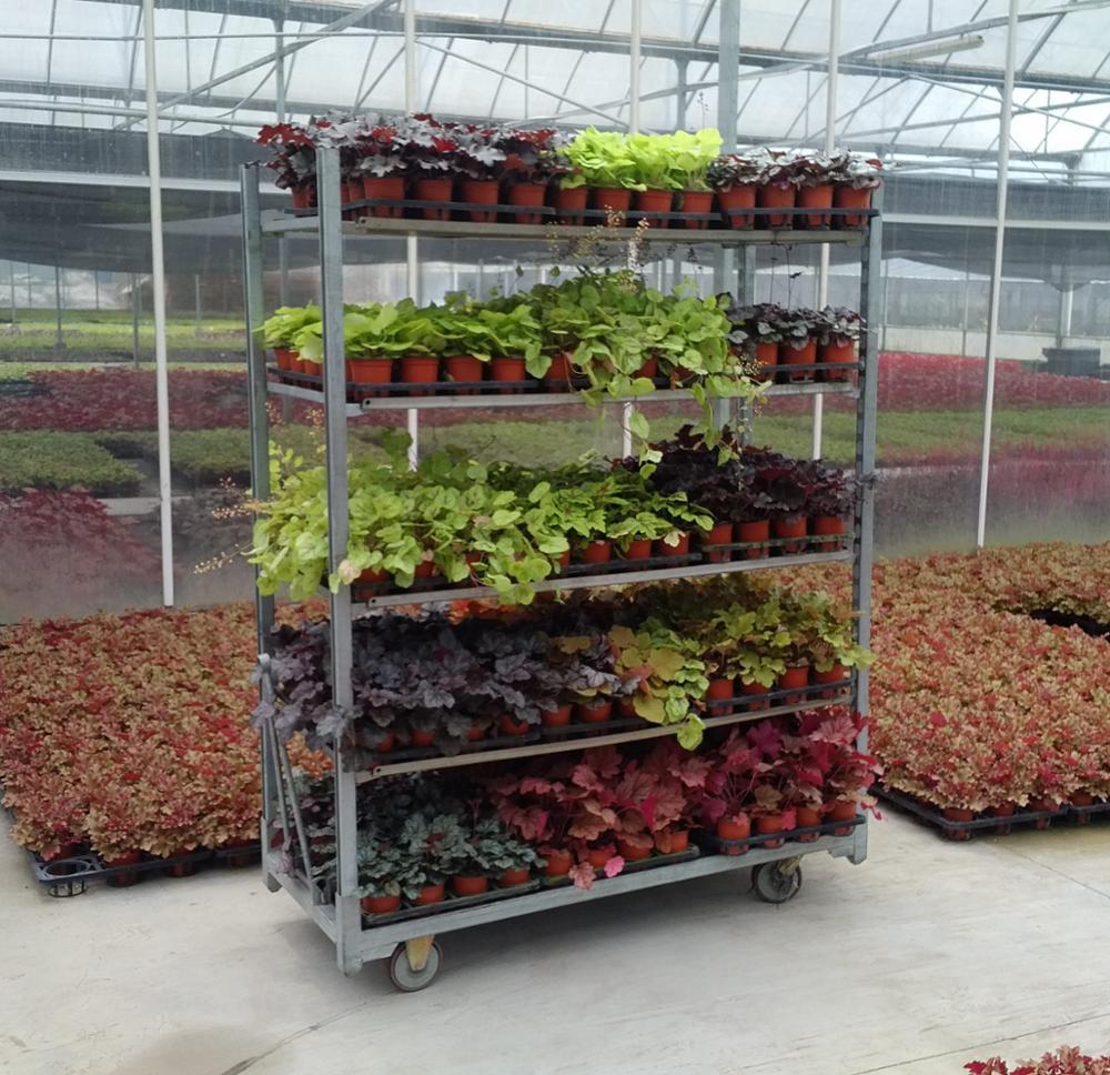 Danish Flower Trolley ,Danimarka çiçek arabası-ÖZEL ÜRETİM