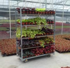Danish Flower Trolley ,Danimarka çiçek arabası