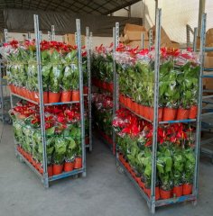 Danish Flower Trolley ,Danimarka çiçek arabası