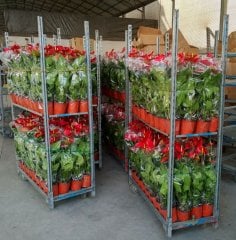 Danish Flower Trolley ,Danimarka çiçek arabası-ÖZEL ÜRETİM