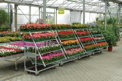 Danish Flower Trolley .Danimarka çiçek arabası