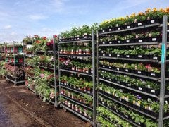 Danish Flower Trolley .Danimarka çiçek arabası-ÖZEL ÜRETİM