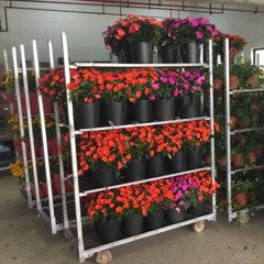 Danish Flower Trolley .Danimarka çiçek arabası