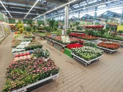Danish Flower Trolley ,Danimarka Çiçek Arabası