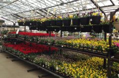 Danish Flower Trolley ,Danimarka çiçek arabası
