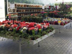 Danish Flower Trolley ,Danimarka çiçek arabası