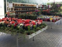 Danimarka çiçek arabası-ÖZEL ÜRETİM